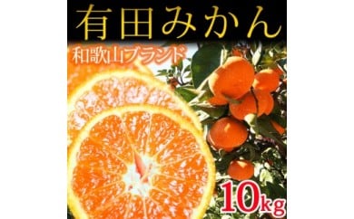 完熟有田みかん10kg ※2023年11月下旬～2024年1月下旬頃に順次発送予定