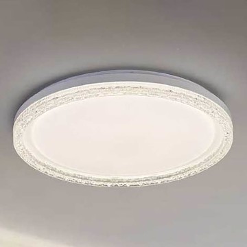 現代風60W遙控造型吸頂燈 44-3216、3217