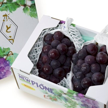 大人小孩都喜愛【新鮮屋 FRESCO】日本岡山縣貓眼葡萄2入禮盒 (1.2kg±10%/盒) 無籽葡萄 果肉飽滿 香氣濃郁 年節送禮 送禮推薦