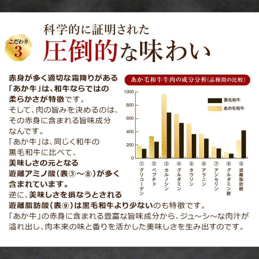 馬刺し ギフト あか牛 赤牛 熊本 国産 和牛 焼肉 1人前 100g モモ 贈り物 ギフト 食べ物 あかうし 熊本馬刺し専門店 お中元 2023