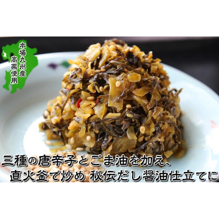 辛子高菜　本場九州産　だし醤油仕立て　高菜漬　たっぷり100g×2袋セット　特産品　ご飯のお供　ラーメン　高菜チャーハン　炒飯　お試しグルメギフト