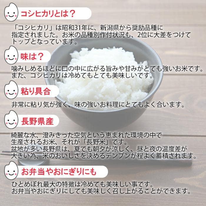  コシヒカリ 5kg×2袋 長野県産 白米 単一原料米 ブランド米 10キロ 国産 令和4年産 (10kg)