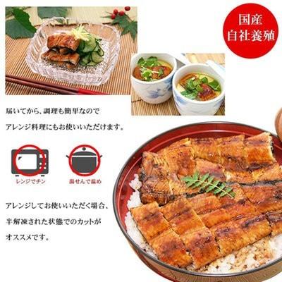 うなぎ蒲焼き（中サイズ150g×１尾）送料無料(離島を除く） 国産鰻 化粧箱  贈り物 ギフト グルメ プレゼント