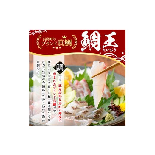 ふるさと納税 鹿児島県 長島町 ＜2023年12月27日発送予定＞長島町特産「鯛王」(2匹セット)jfa-940-1227