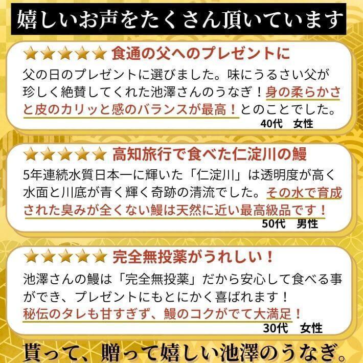 高知県産 うなぎ 白焼き 国産 2尾 完全無投薬 仁淀川 誕生日 ギフト 贈答