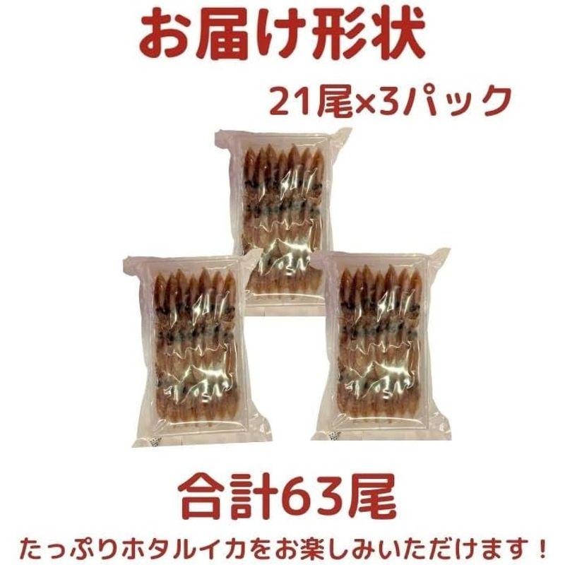 ホタルイカ 富山湾産ホタルイカ約750g(250g×3パック）