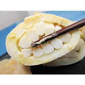 いか粕漬（5尾入り）北海道函館産！烏賊本来の味を活かし、高級諸白かすで風味豊かに、手作り加工したイカ粕漬
