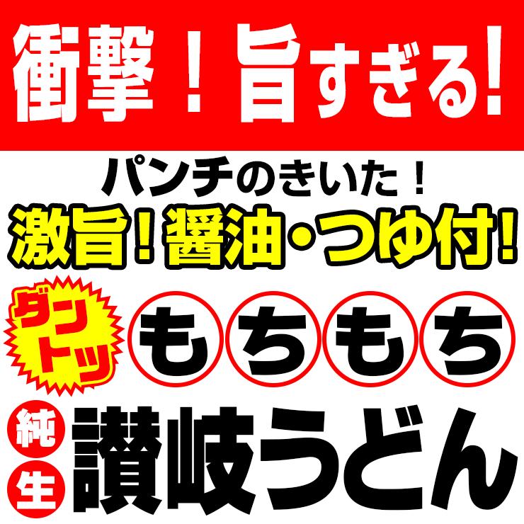 純生 讃岐 うどん ドーンと6食 便利な個包装 300g×2袋 600g 醤油 つゆ付 送料無料   得トクセール 特産品 訳あり