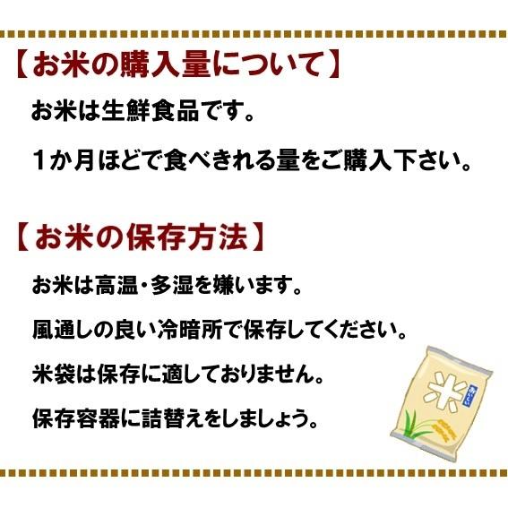 新米 10kg 5kg×2 玄米 特別栽培米 コシヒカリ 令和5年 新潟県 糸魚川 能生米  農家直送 送料無料