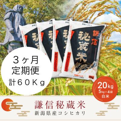 ふるさと納税 上越市 謙信秘蔵米20kg(精米)全3回