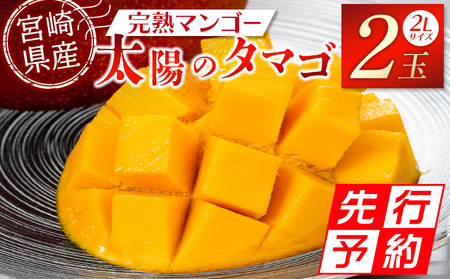 マンゴー 宮崎県産完熟マンゴー 太陽のタマゴ 2L×2個