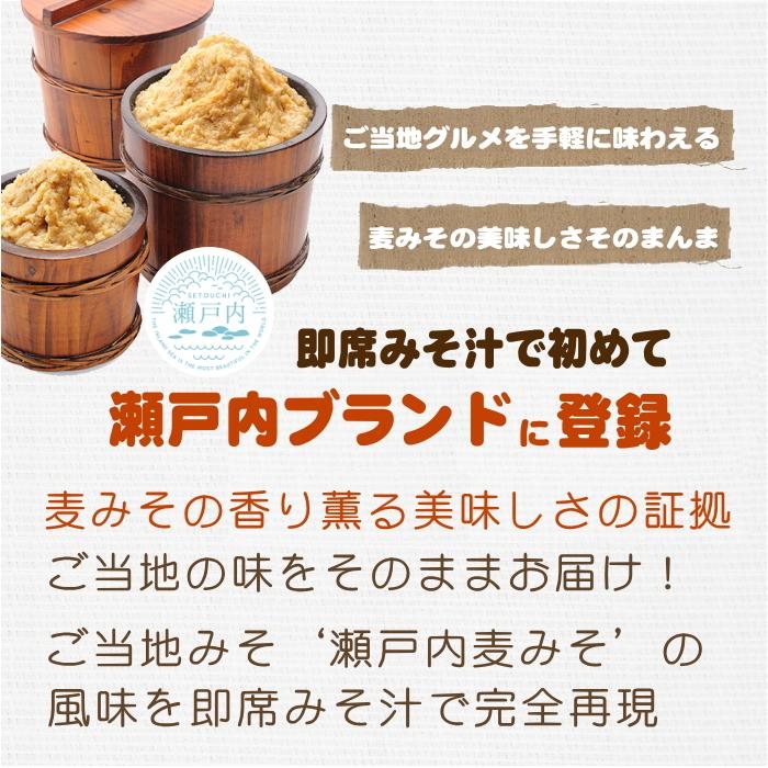 麦みその即席味噌汁フリーズドライ 5食入