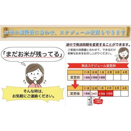 ふるさと納税 山形県 大蔵村 令和5年産 大蔵村 特別栽培米 つや姫  定期便 30kg（10kg×1カ月間隔で3回お届け） ＜配送時期指定可＞