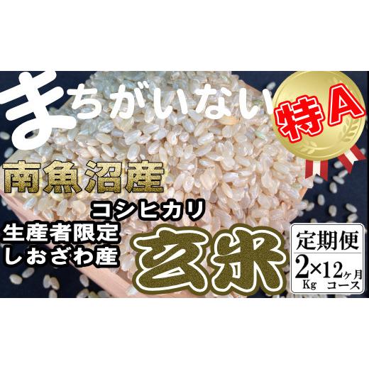 ふるさと納税 新潟県 南魚沼市 玄米 生産者限定 南魚沼しおざわ産コシヒカリ2Kg×12ヶ月