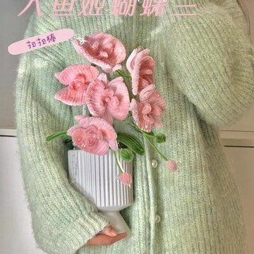 禮物花束🌸 扭扭棒蝴蝶蘭盆栽diy材料包手作自制蘭花客廳擺件禮物送朋友閨蜜 母親節禮物