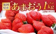  福岡県産 あまおう 計1kg (250g×4パック)