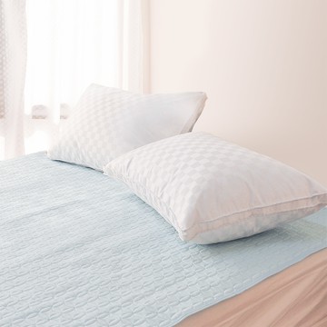 頂級飯店級立體羽絨枕(30/70)