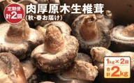 肉厚原木生 椎茸 1kg (秋・春お届け) 計2kg しいたけ