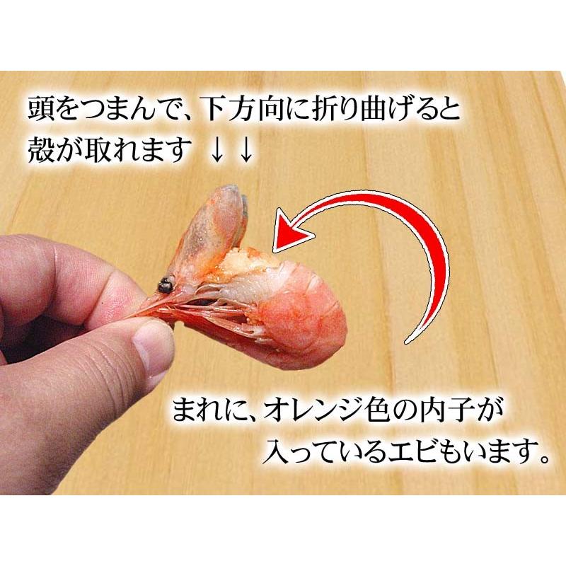 訳あり ボイル冷凍 おつまみ甘エビ(ナンバン海老)Ｓサイズ　1ｋｇ　甘海老を塩ゆで味付け不要。ボイル済み