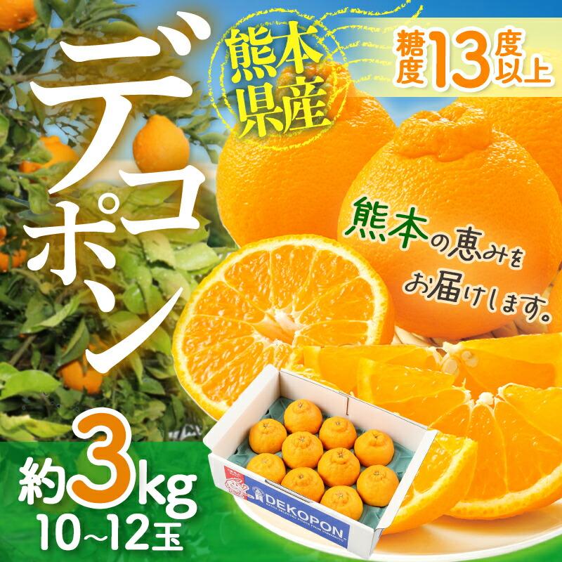  フルーツ 熊本県産 デコポン 約3kg (10〜12玉) 果物 柑橘 みかん ミカン でこぽん 青果 箱 ギフト 高級 送料無料 CG046