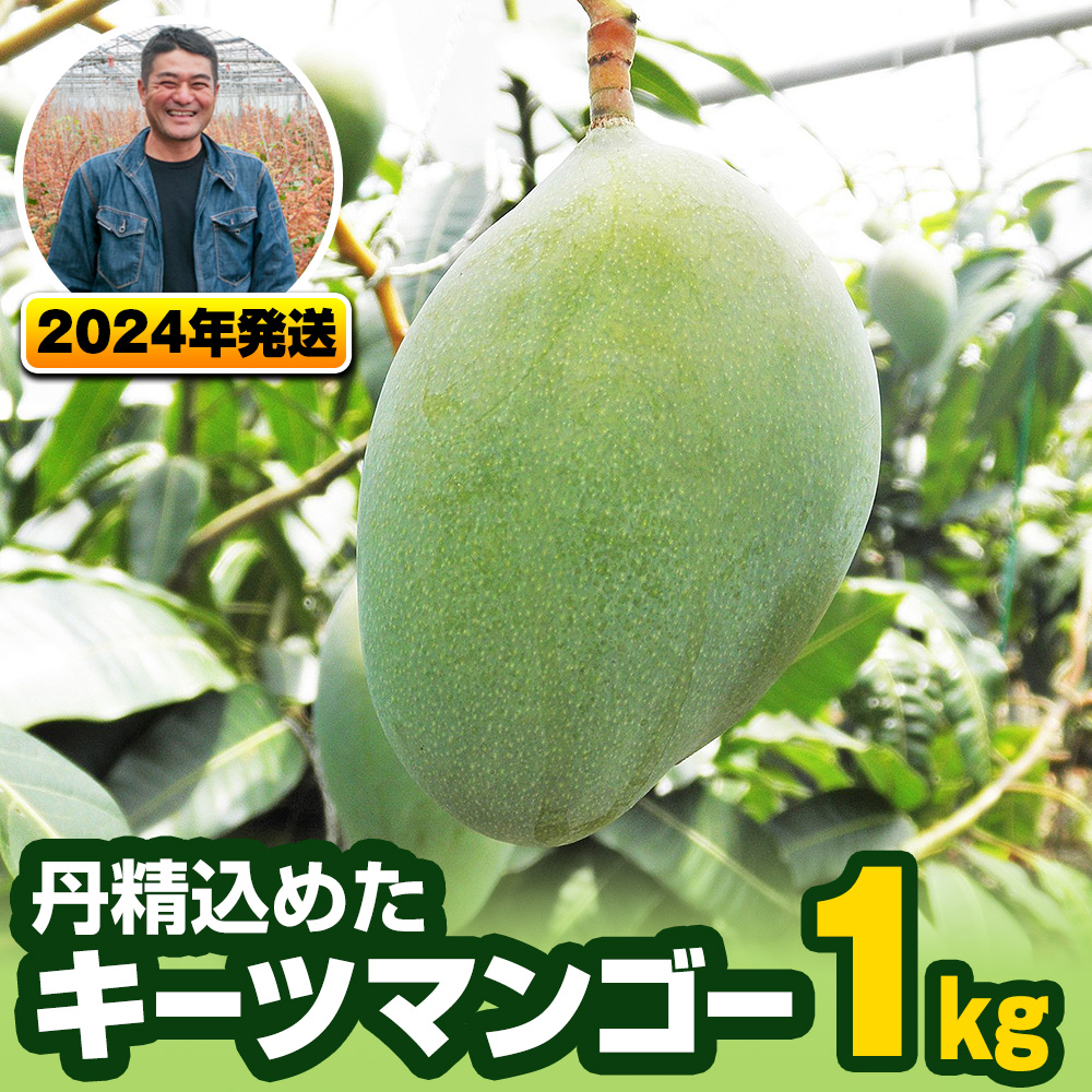 南風原農園　丹精込めた「キーツマンゴー」1kg