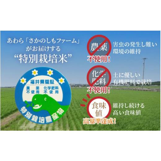 ふるさと納税 福井県 あわら市 令和5年産新米 ミルキークイーン 玄米 5kg 特別栽培米 農薬不使用 化学肥料不使用 ／ 高品質 鮮度抜群 福井県産 ブランド米 自…