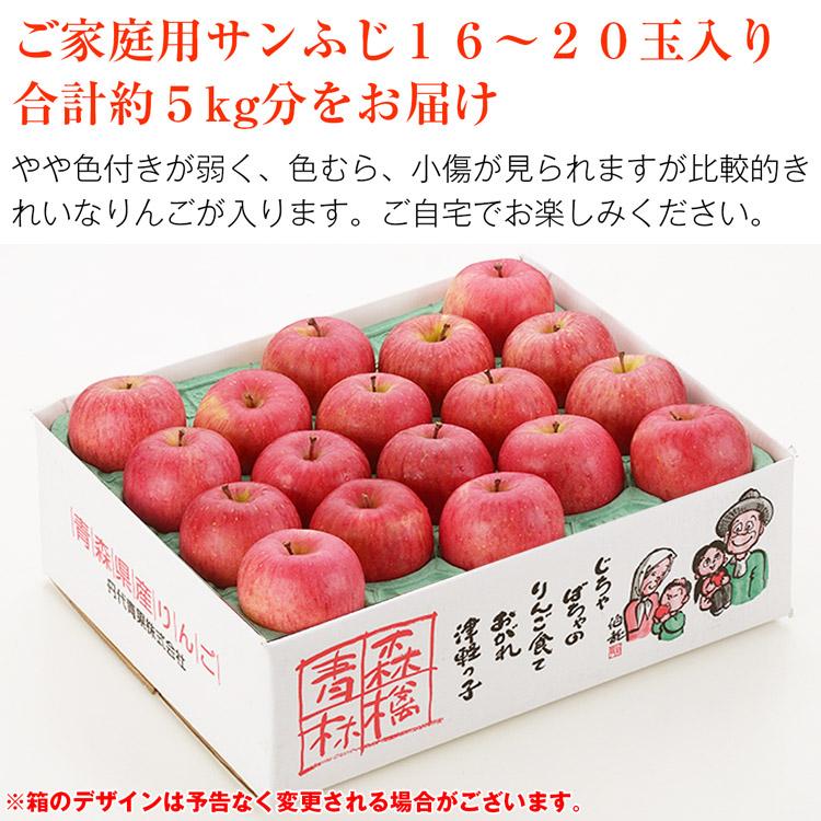 サンふじ 青森県産 ご家庭用 5kg 16〜20玉 りんご リンゴ 林檎 ふじりんご 青森りんご 産地直送 指定日不可 同梱不可 産直