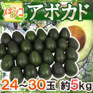 メキシコ産 ”アボカド” 24～30玉 約5kg 送料無料