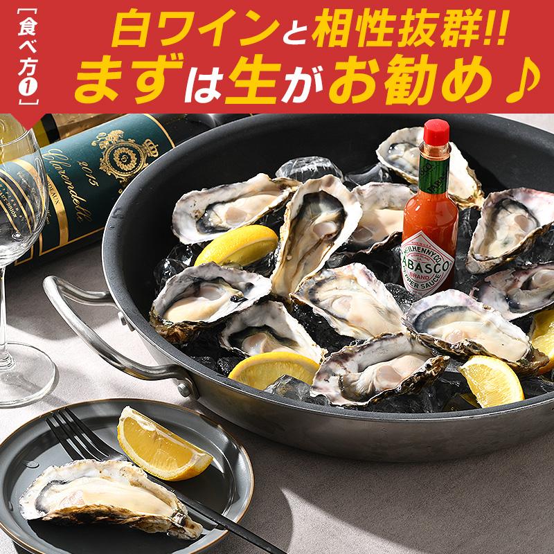 カキ かき 牡蠣 生食用 殻付き 12個 冷凍 兵庫県室津産 冷凍殻付き牡蠣 お歳暮 ギフト