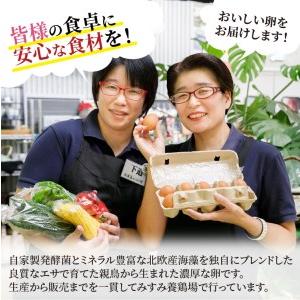 ふるさと納税 道の駅松浦海のふるさと館『旬のお野菜＋産みたて濃厚玉子6個』の大満足セット！ 長崎県松浦市