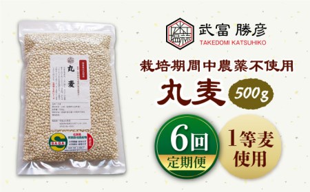 丸麦500g（1等麦使用）特別栽培農産物 麦[HAJ041]