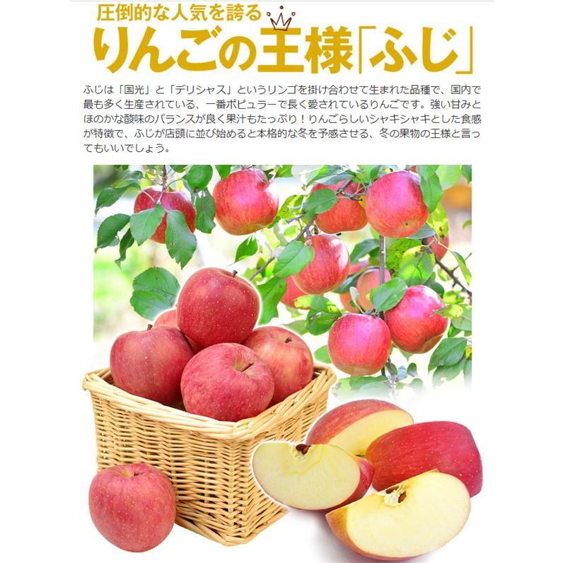 りんご 約20kg 青森産 傷あり 美味しいサンふじ 木箱入り ご家庭用 送料無料 食品