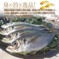 アジフライ＆金の干し魚(あじ)の味くらべセット