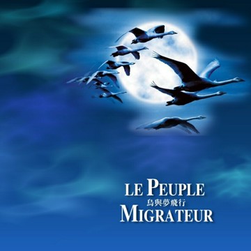 溫暖略帶感傷的情歌 | 遷徙的鳥 法國紀錄片電影原聲帶音樂CD碟片