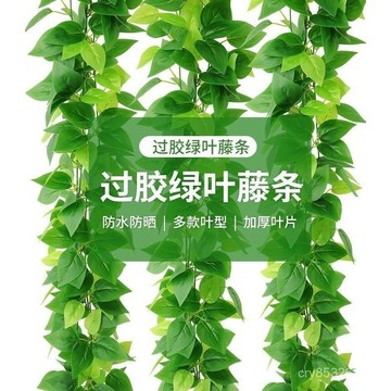 📣免運🔥臺灣出貨🔥仿真藤條綠蘿葉裝飾綠藤假樹葉藤蔓塑料花藤水管道遮擋空調綠葉花