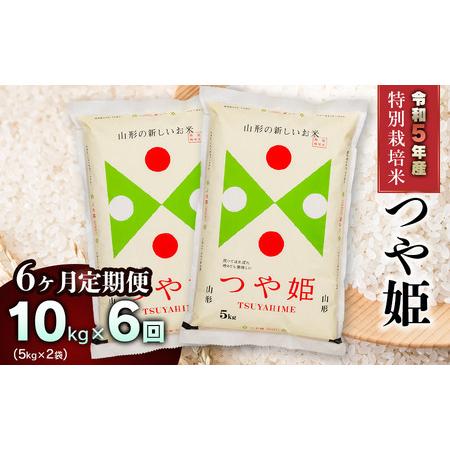 ふるさと納税 新米 山形県庄内産 特別栽培米つや姫10kg（5kg×2） 鶴岡米穀商業協同組合 山形県鶴岡市