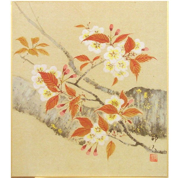 片山邦夫 『桜』 色紙絵 絵画 日本画 花 春 メール便 ネコポス 通販 LINEポイント最大GET | LINEショッピング