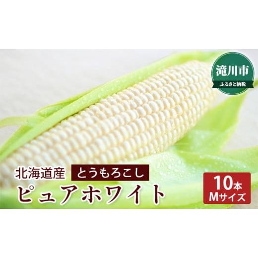 ふるさと納税 北海道 滝川市 北海道産 ピュアホワイト 10本(Mサイズ)＜2024年7月中旬〜順次出荷＞｜北海道 滝川市 とうきび トウモロコシ 2024年発送 先行受付…