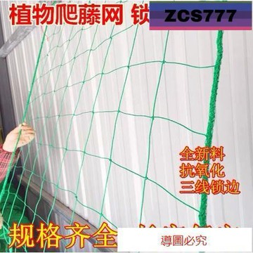熱銷 植物爬藤網 絲瓜攀爬網搭架網 百香果爬藤網 爬藤網 番茄網 絲瓜網 苦瓜網 棚架網 栽培網