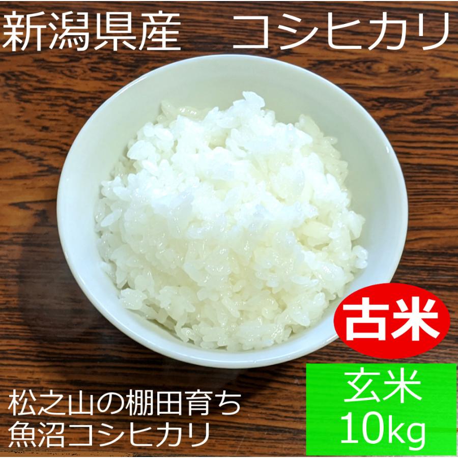  新潟県 十日町市産 魚沼コシヒカリ 新宅棚田米 令和4年産 玄米 10kg