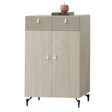 文創集 蒂斯2.7尺二門二抽鞋櫃-80x40x111cm免組