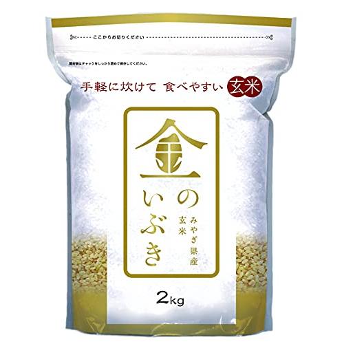 玄米 宮城県産 金のいぶき 2kg 令和4年産