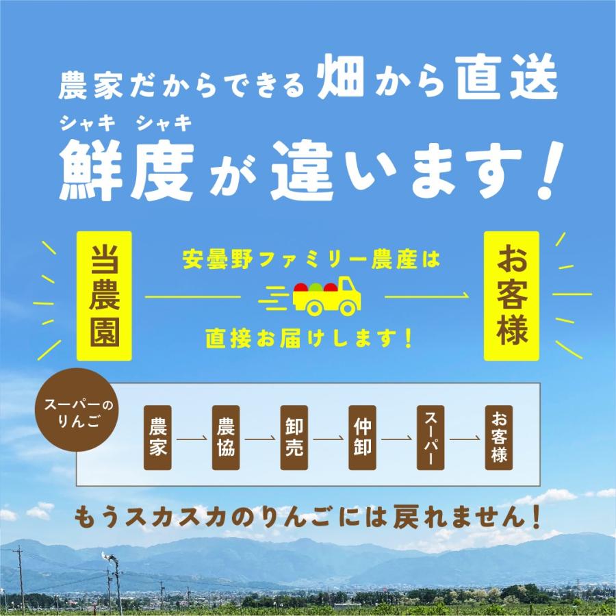 ピンクレディ 5kg 箱 訳あり 幻の林檎 減農薬 希少 りんご 長野 安曇野 信州 産地直送 酸っぱい 「ピンクレディ5キロ箱訳あり品」