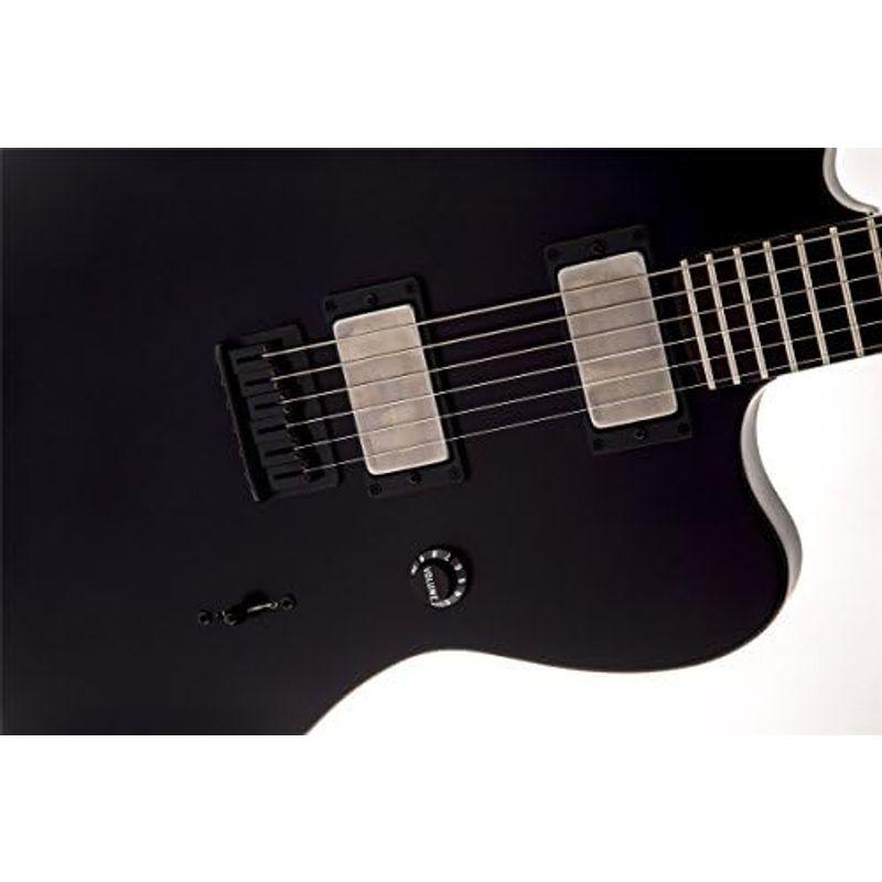 エレキギター Fender JIM ROOT STRATOCASTER?