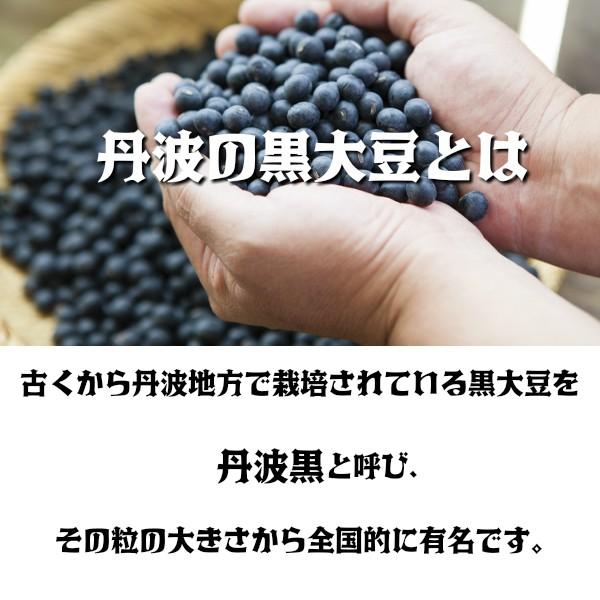 丹波篠山 黒豆煮 内容量 540g 固形量 300g