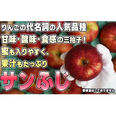 ふるさと納税 鶴田町  家庭用　葉取らずサンふじ 約10kg 青森県産りんご