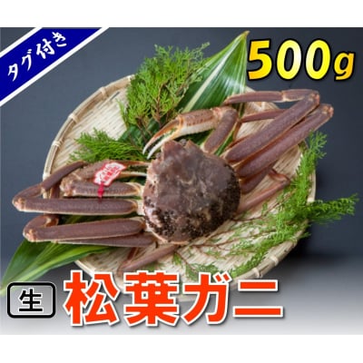 タグ付き生松葉ガニ(並500g)