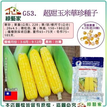 【綠藝家】G53.超甜玉米華珍種子4.2克(約30顆)華珍 ; 果重(公克). 220 ; 果/球/根尺寸