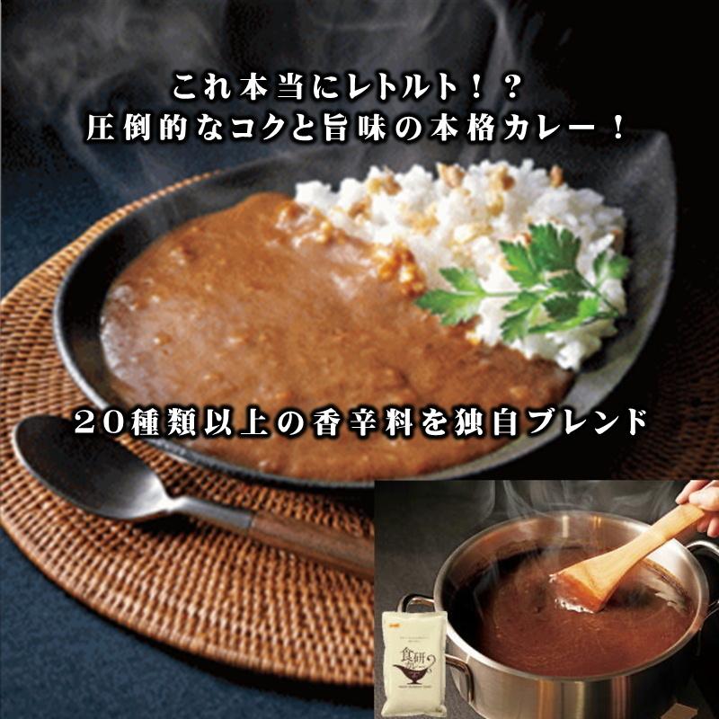 食研 カレー 10袋 (1袋200g入り)  温めるだけですぐ召し上がれます