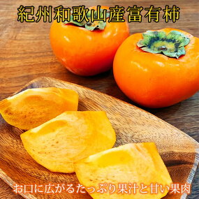 和歌山秋の味覚　富有柿　約4kg　化粧箱入　※着日指定送不可　 ※2024年11月上旬～11月下旬頃に順次発送予定　 ※沖縄・離島への発送不可